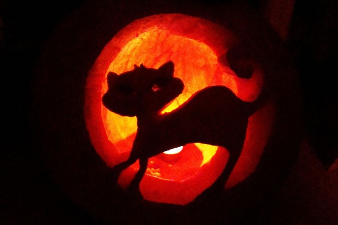 photo credit: Wikimedia Commons http://commons.wikimedia.org/wiki/File:Halloween_pumpkin,_Sanok_2012.JPG