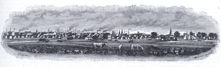 Drawing of cow and buildings of chicago in 1845