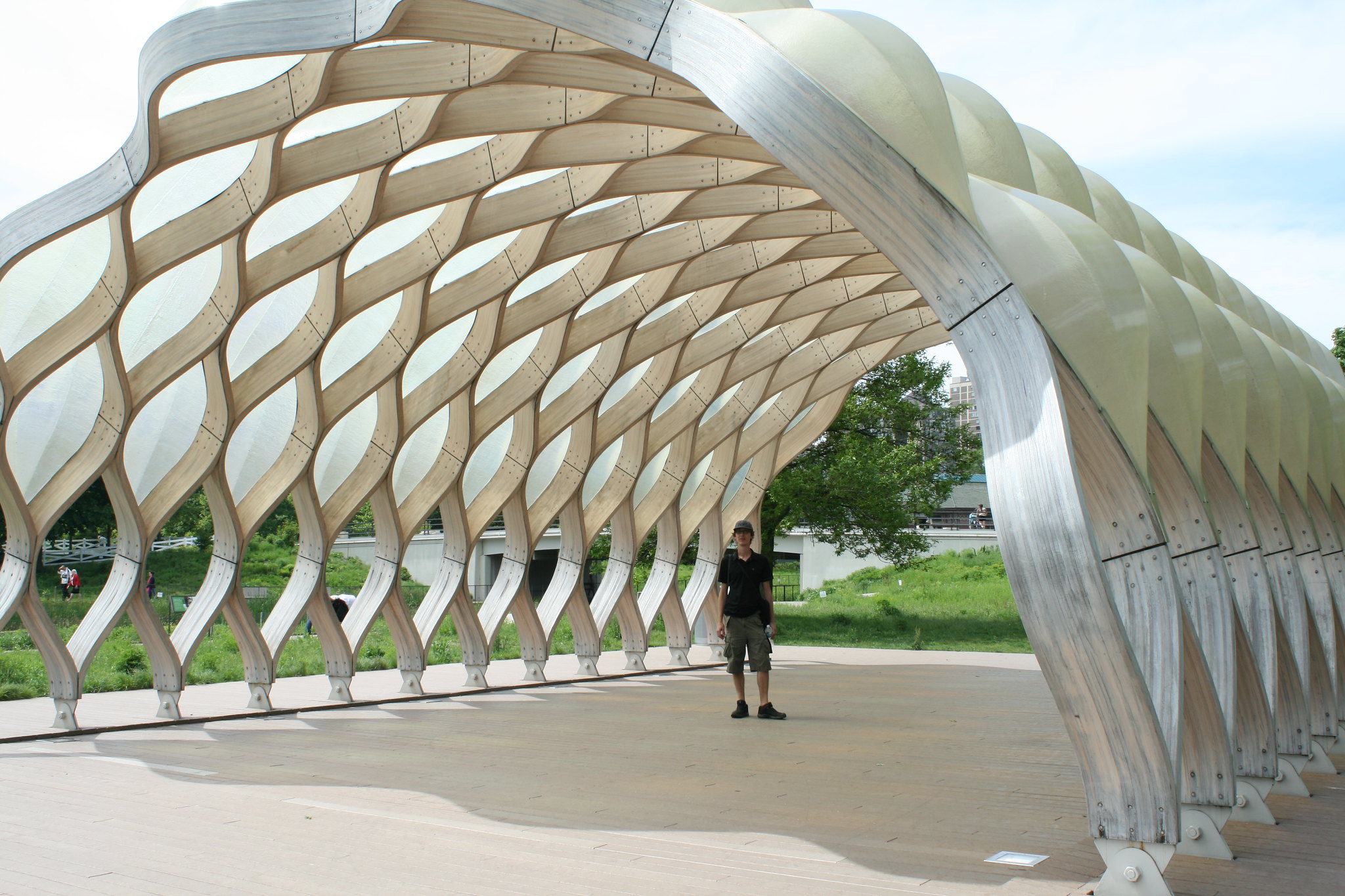 Architecture From Nature For Kids Chicago Public Library