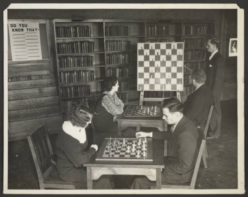 Let's Play Chess  Palatine Public Library District